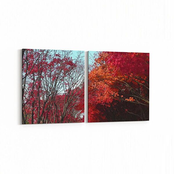 olla.market Kanvas Tablo