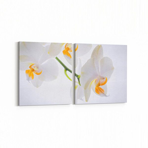 olla.market Kanvas Tablo