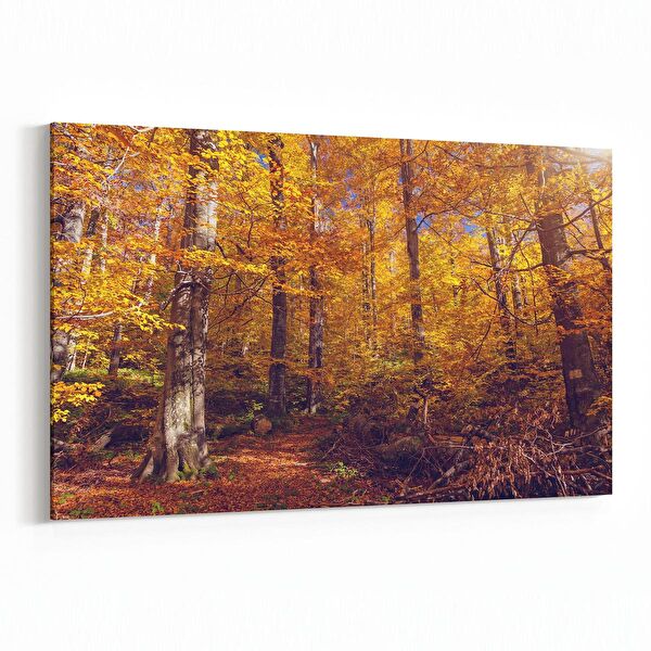 olla.market Kanvas Tablo