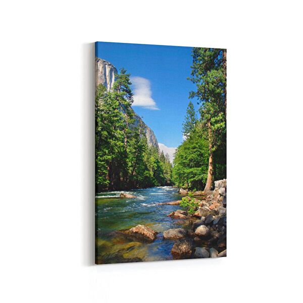 olla.market Kanvas Tablo