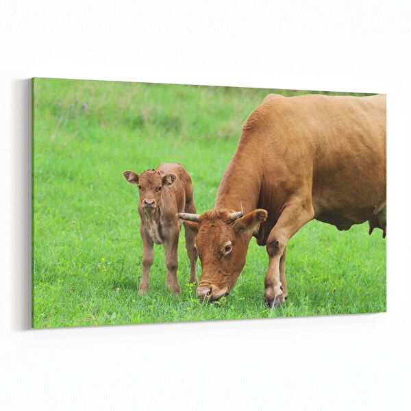 olla.market Kanvas Tablo