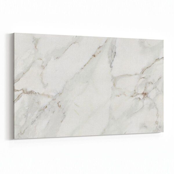 olla.market Kanvas Tablo