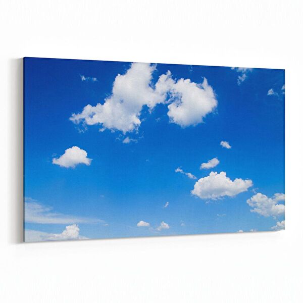 olla.market Kanvas Tablo