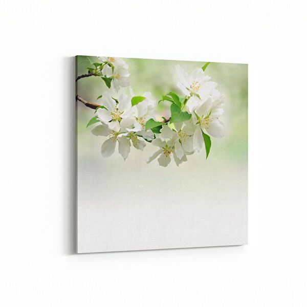 olla.market Kanvas Tablo