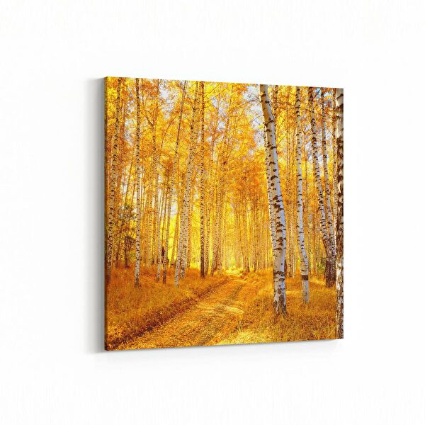 olla.market Kanvas Tablo