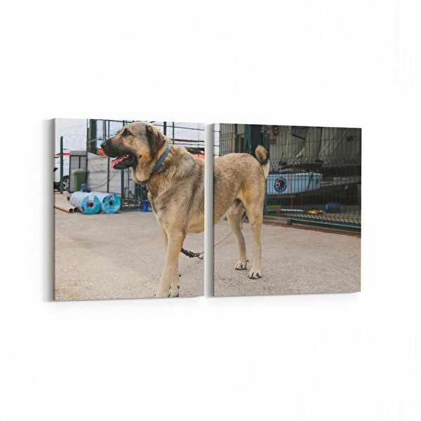 olla.market Kanvas Tablo