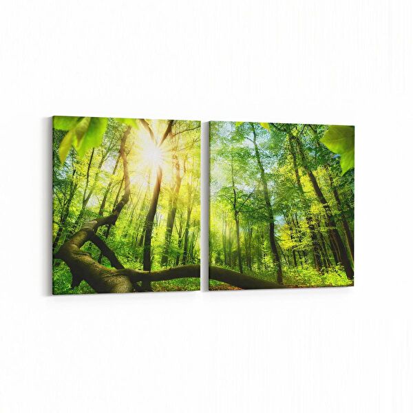 olla.market Kanvas Tablo