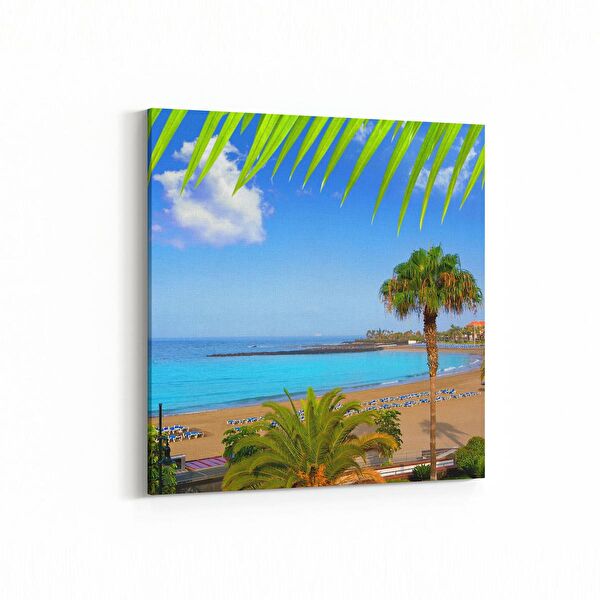 olla.market Kanvas Tablo