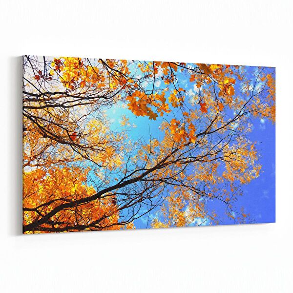 olla.market Kanvas Tablo