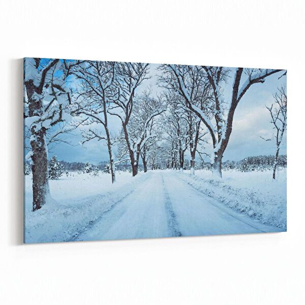 olla.market Kanvas Tablo