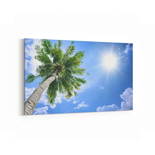 olla.market Kanvas Tablo