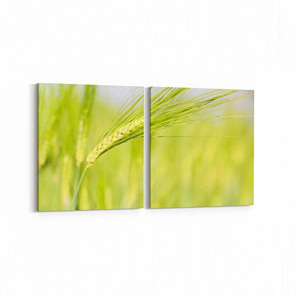 olla.market Kanvas Tablo