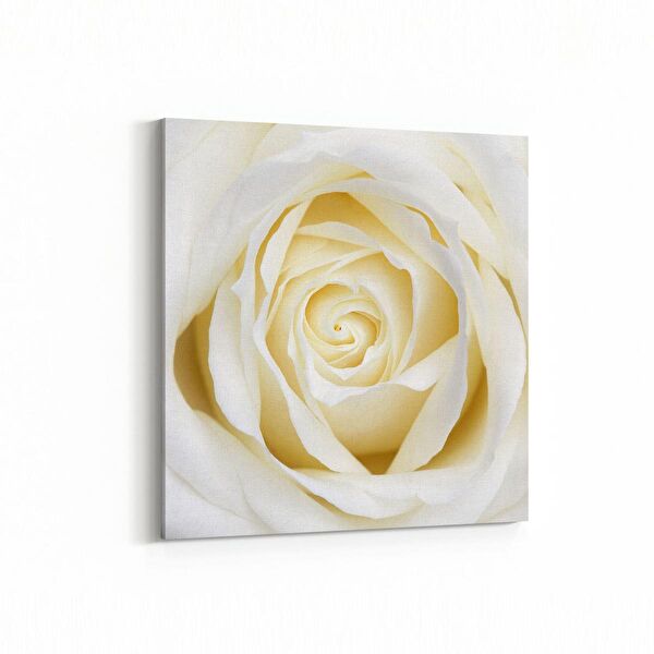 olla.market Kanvas Tablo