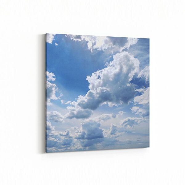 olla.market Kanvas Tablo