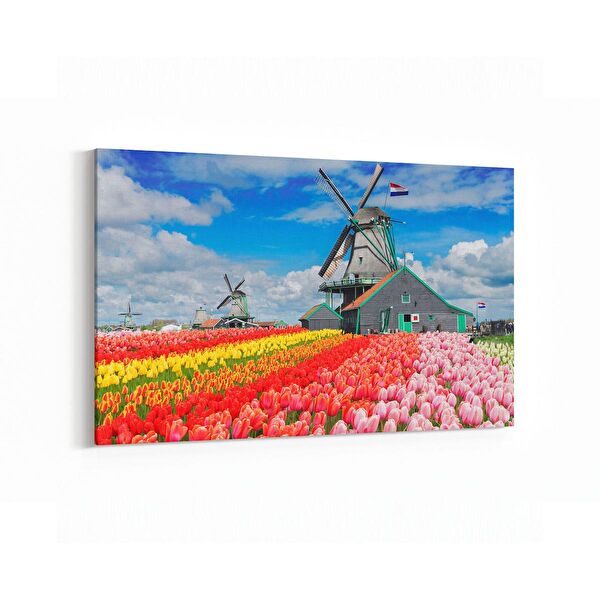 olla.market Kanvas Tablo