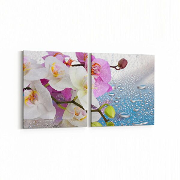 olla.market Kanvas Tablo