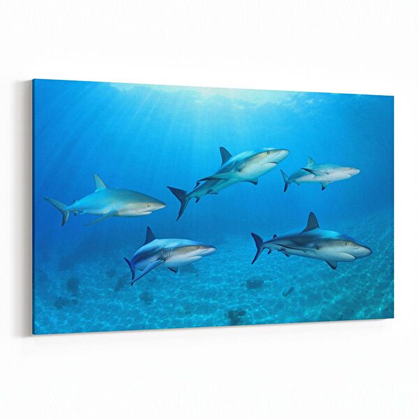 olla.market Kanvas Tablo