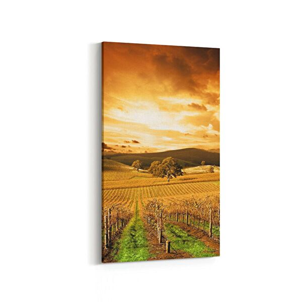 olla.market Kanvas Tablo