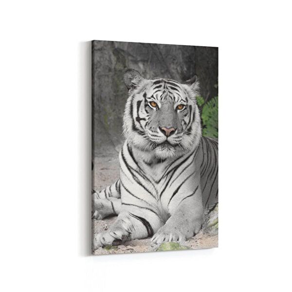 olla.market Kanvas Tablo