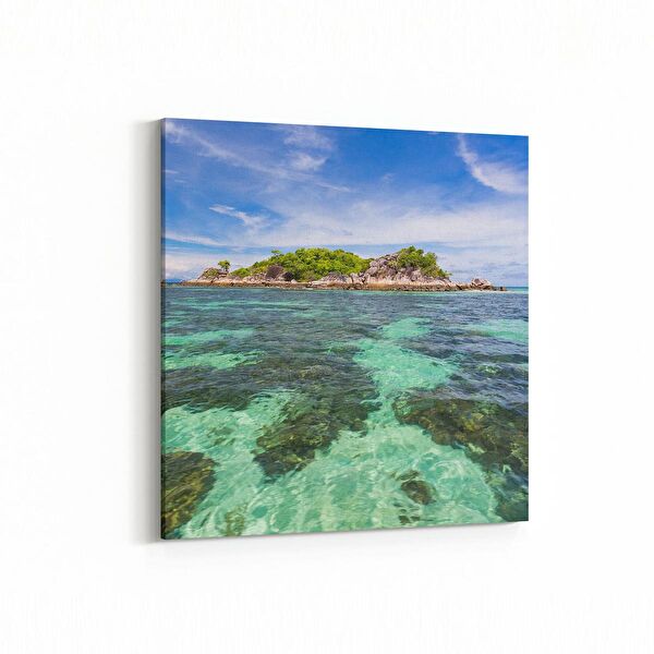 olla.market Kanvas Tablo