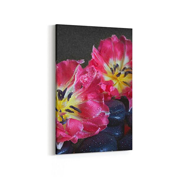 olla.market Kanvas Tablo