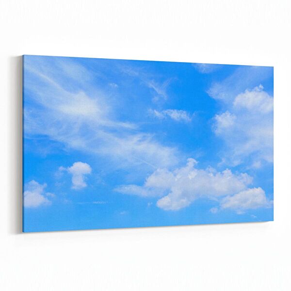 olla.market Kanvas Tablo