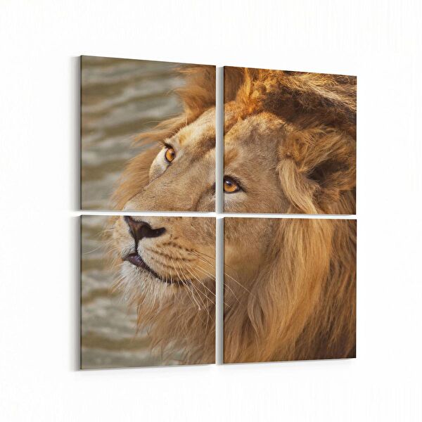 olla.market Kanvas Tablo