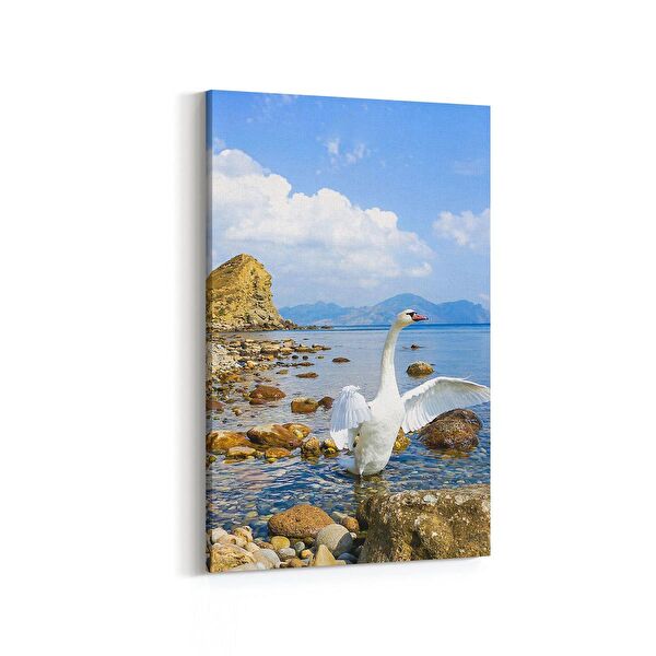 olla.market Kanvas Tablo