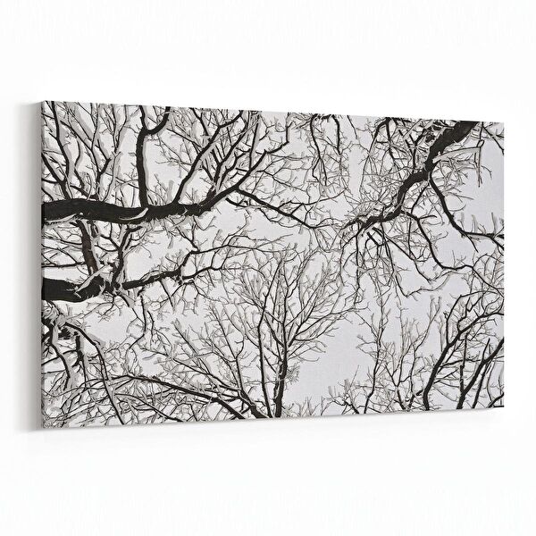 olla.market Kanvas Tablo