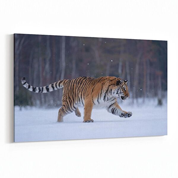 olla.market Kanvas Tablo