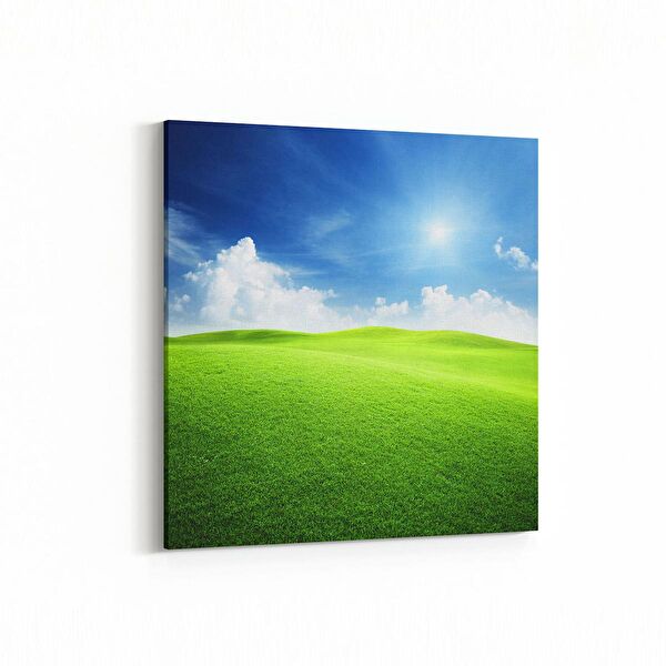 olla.market Kanvas Tablo