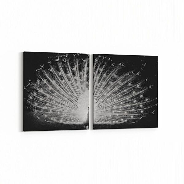 olla.market Kanvas Tablo