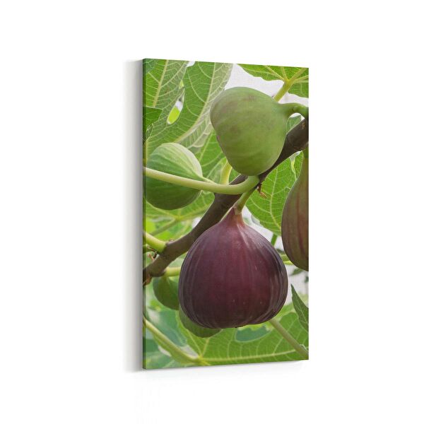 olla.market Kanvas Tablo