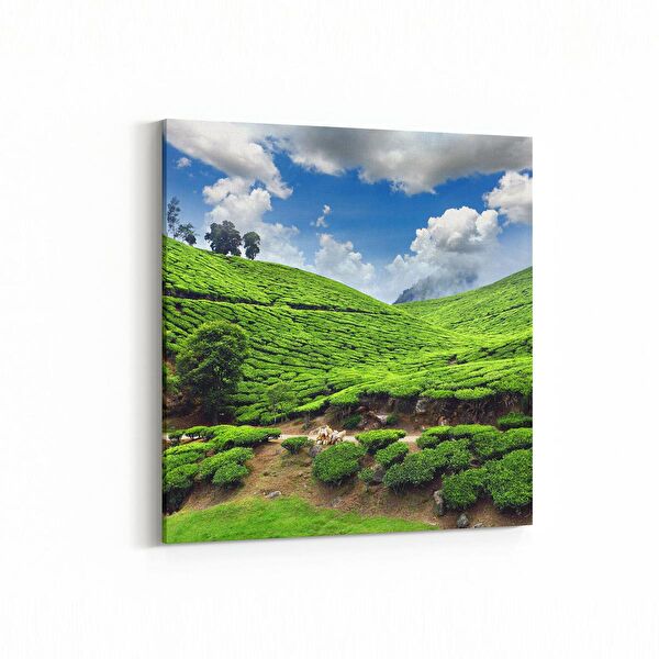 olla.market Kanvas Tablo