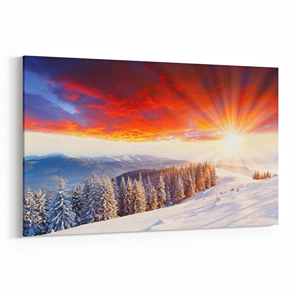 olla.market Kanvas Tablo