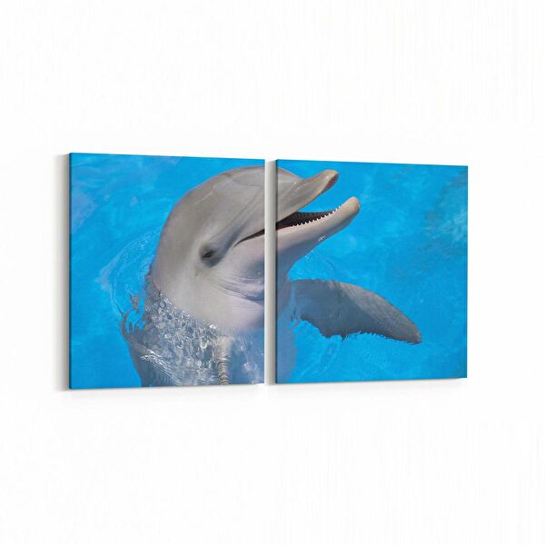 olla.market Kanvas Tablo