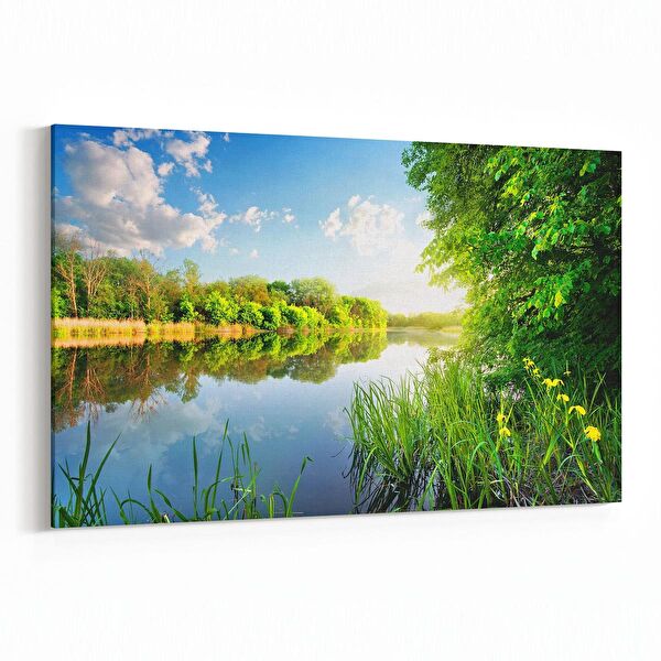 olla.market Kanvas Tablo