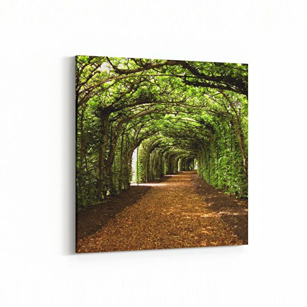 olla.market Kanvas Tablo