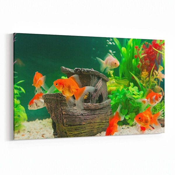 olla.market Kanvas Tablo