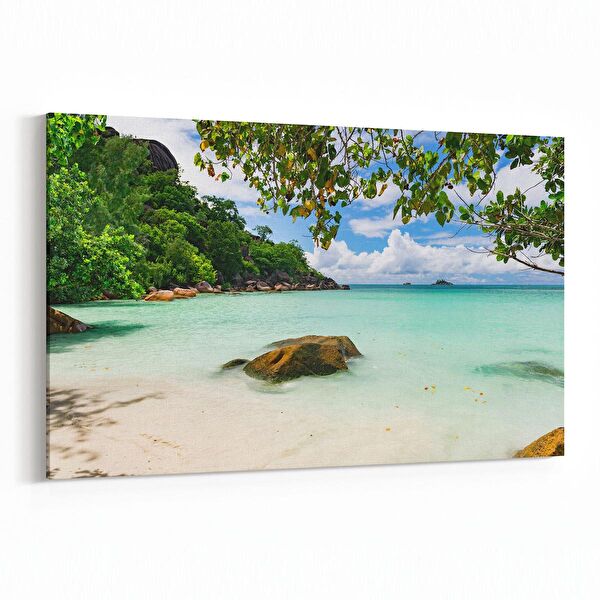 olla.market Kanvas Tablo