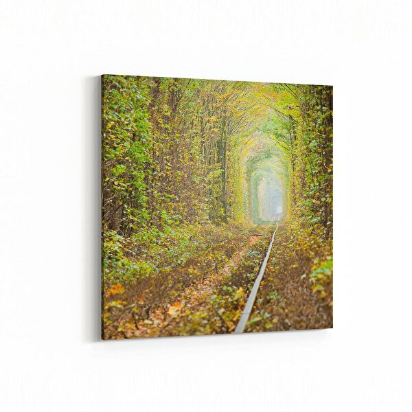 olla.market Kanvas Tablo