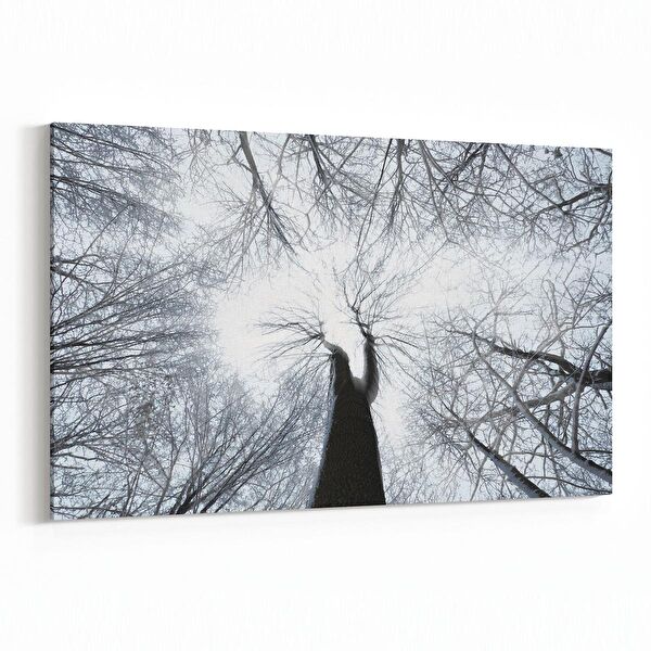 olla.market Kanvas Tablo