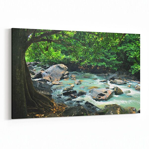 olla.market Kanvas Tablo