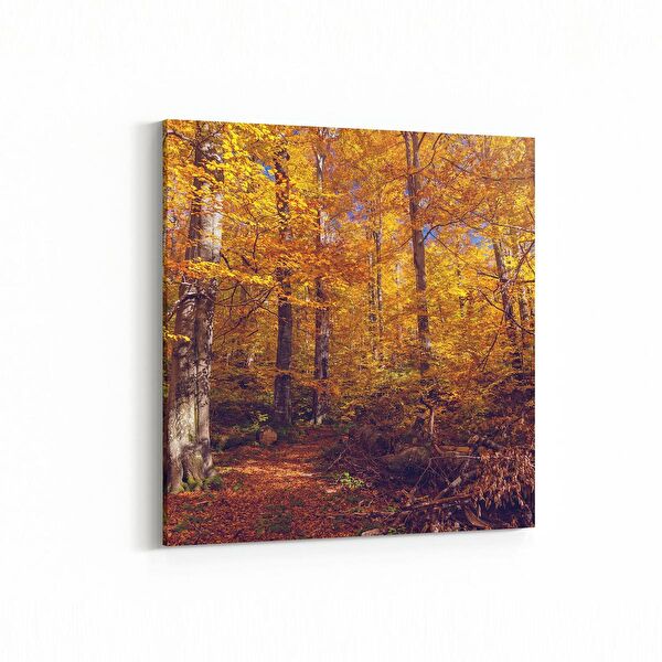 olla.market Kanvas Tablo