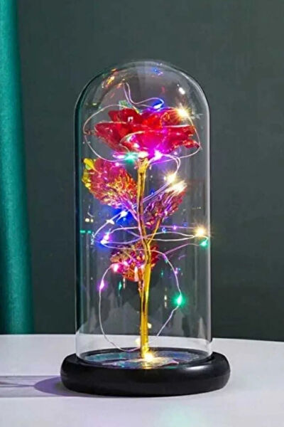 omilife Yapay Çiçek, Meyve