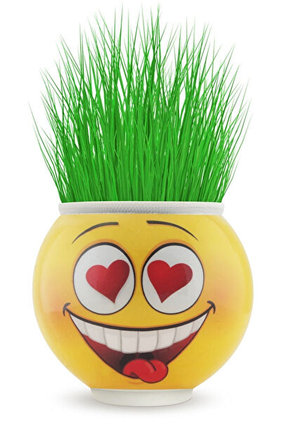 OMZ Çim Biçme Makinesi Aksesuar, Yedek Parça