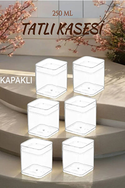 Open Home Concept Kase