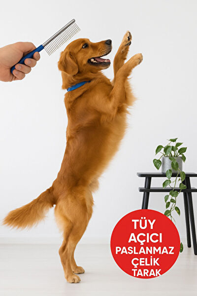 TOYFEST Köpek Tarak, Fırça, Makas