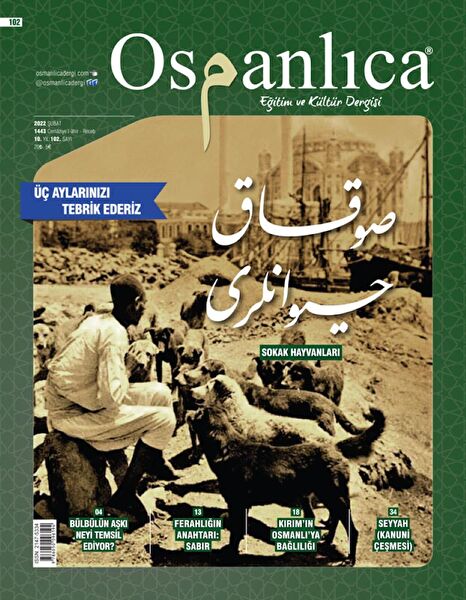 Hayrat Neşriyat Dergiler