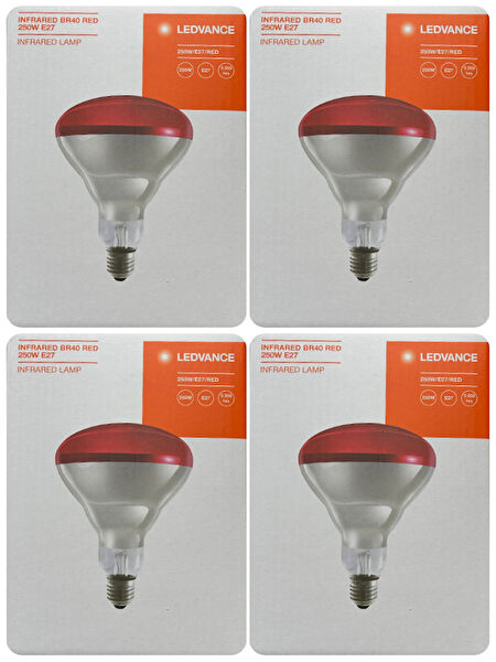 avarson Halojen Ampul